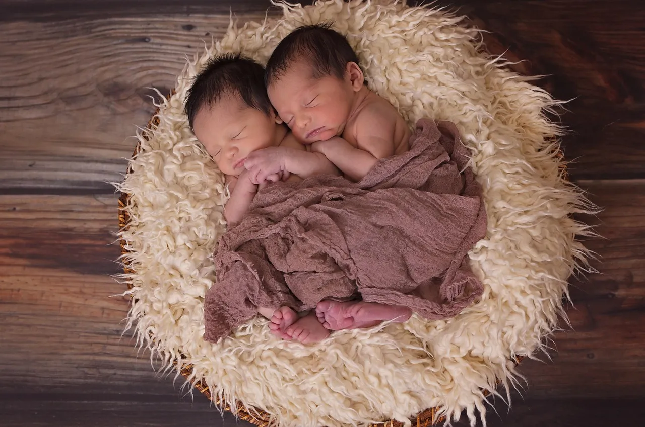 seattle newborn photographer