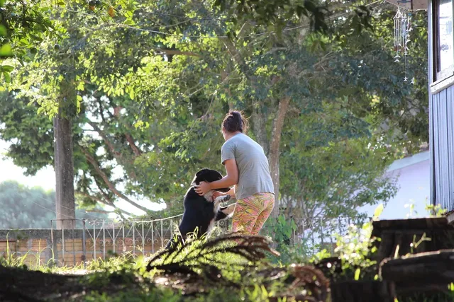 Dogs-5