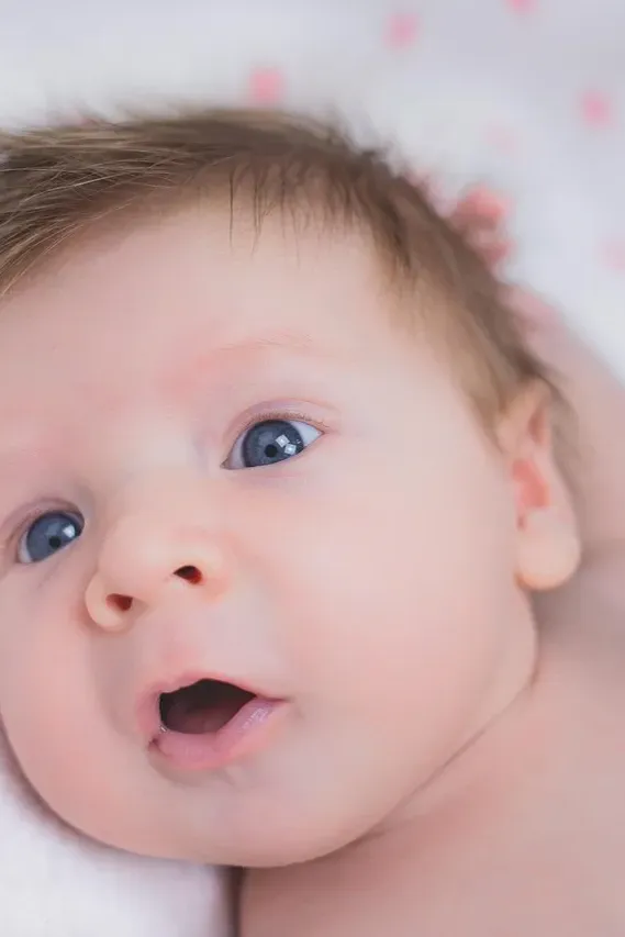 seattle newborn photographer