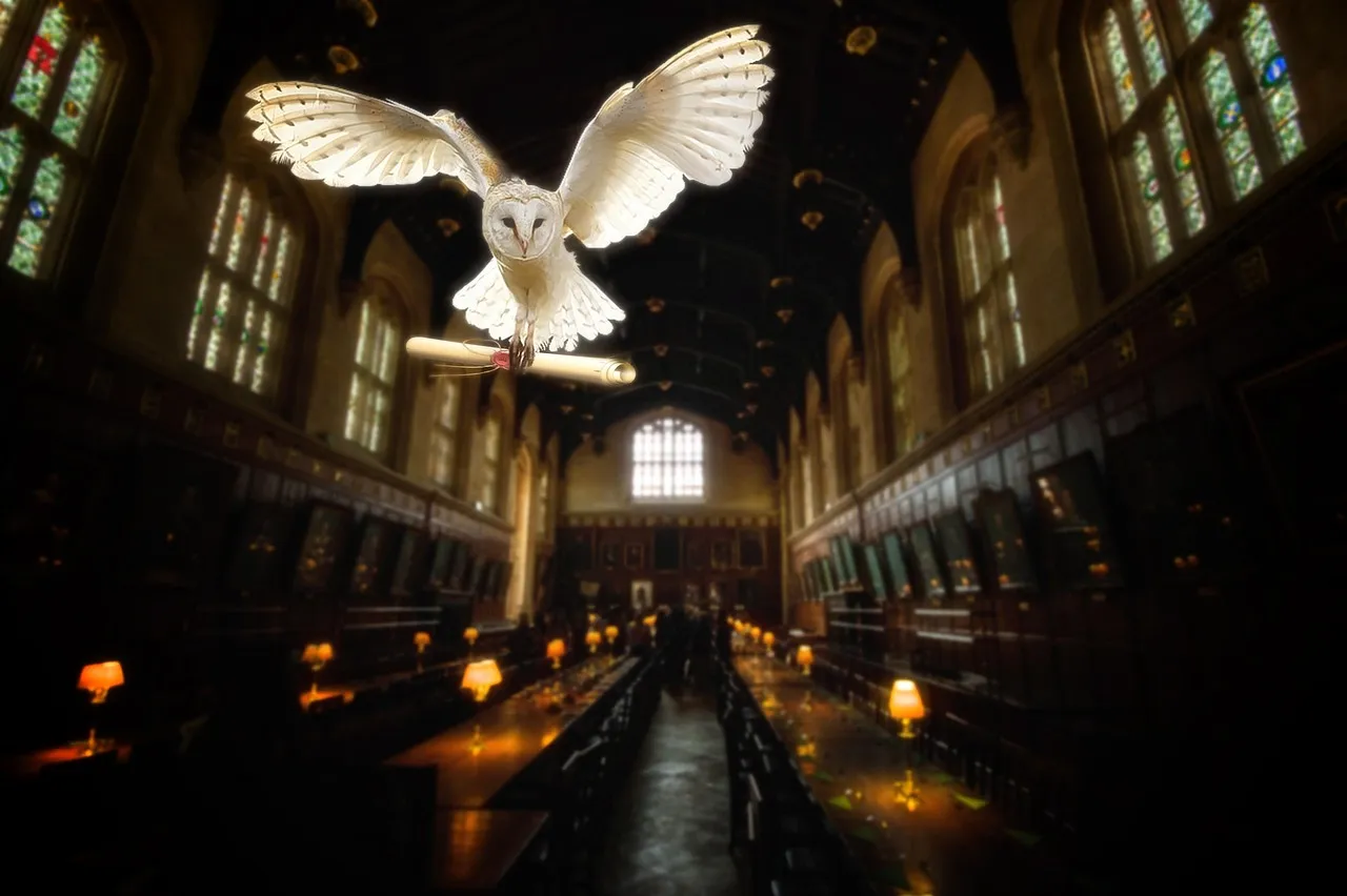 Harry Potter party