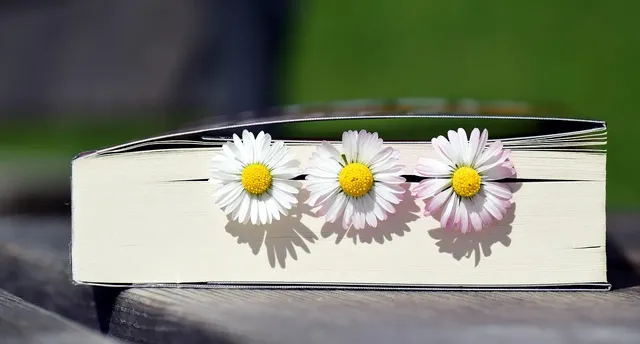 Book copy
