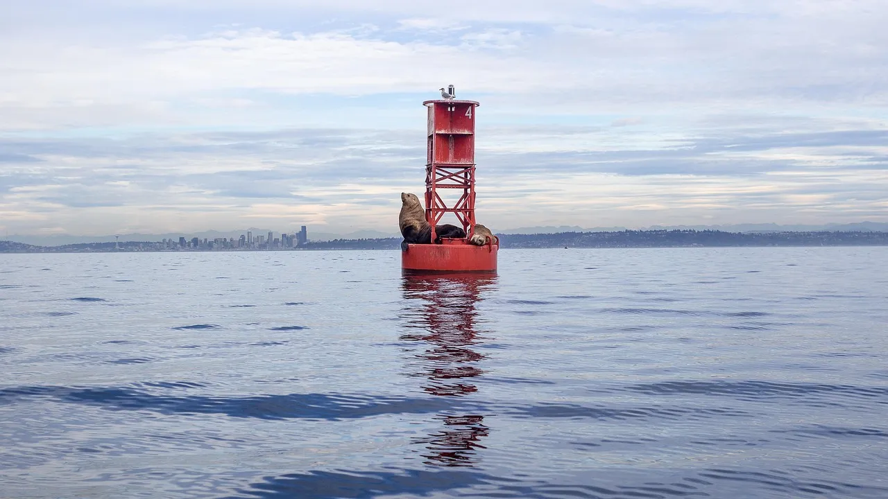 seattle child photographer
