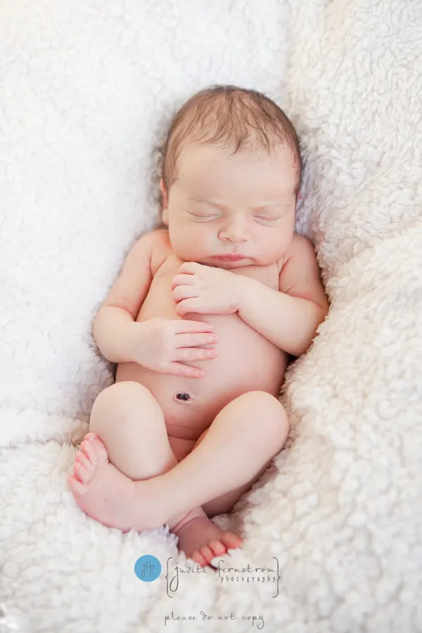 bellevue issaquah newborn photographer