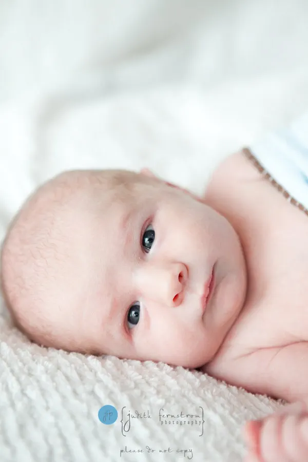 seattle issaquah newborn photographer baby infant