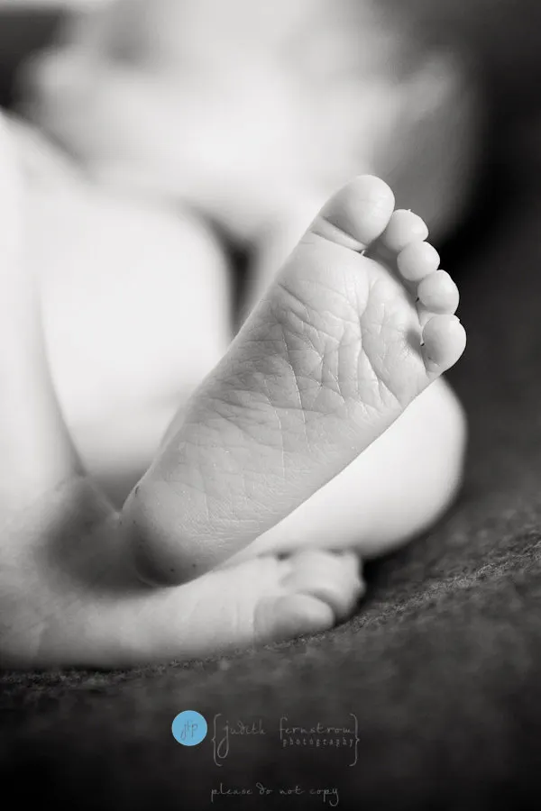 120612-4 seattle issaquah newborn baby infant photographer