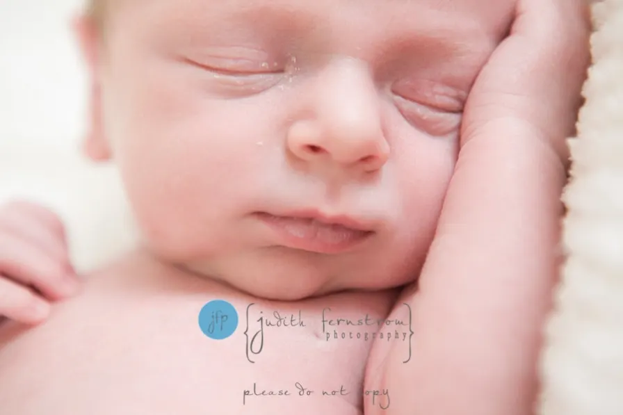 fernstromphotography newborn baby infant photographer seattle issaquah