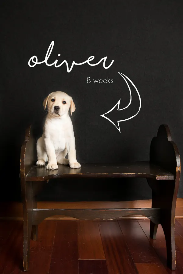 Oliver-116